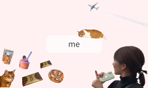 日々のいろいろ